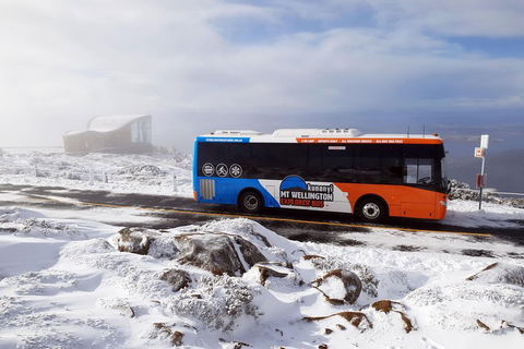 Kunanyi/Mt Wellington Tour & Hobart Hop-On Hop-Off Bus - Accommodation Directory 2