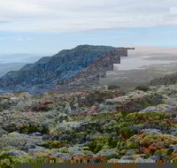 kunanyi/Mt Wellington Explorer Bus - One Way Tour - Accommodation Directory