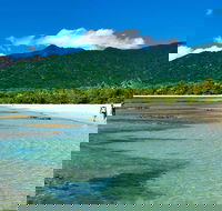 5-Day Best of Cairns with Daintree Kuranda and Great Barrier Reef - Accommodation Directory