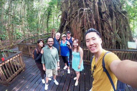 Cairns 4WD Waterfall And Rainforest Tour Including Kuranda Scenic Railway - Accommodation Directory 0