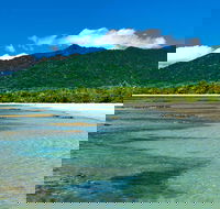 8-Day Cairns Tour Great Barrier Reef Kuranda Daintree Rainforest - Accommodation Directory