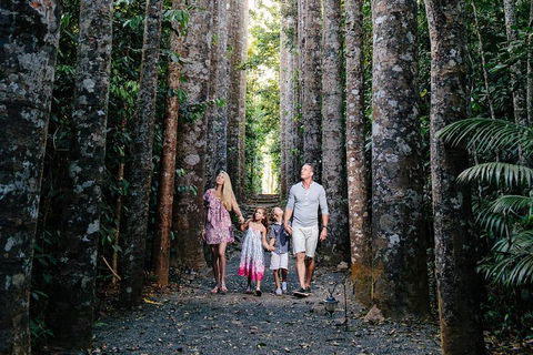 Paronella Park And Millaa Millaa Falls Full-day Tour From Cairns - Accommodation Directory 5
