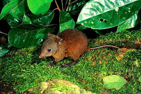3-Day Small-Group Tour Of North Queensland With Pick Up - Accommodation Directory 0