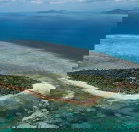 4-Day Cairns with Great Barrier Reef and Daintree Rainforest - Accommodation Directory