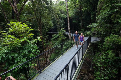4-Day Cairns With Great Barrier Reef And Daintree Rainforest - Accommodation Directory 1