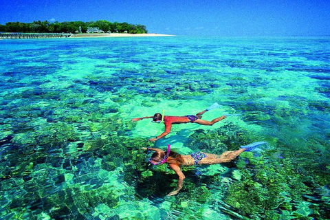 4-Day Cairns With Great Barrier Reef And Daintree Rainforest - Accommodation Directory 2