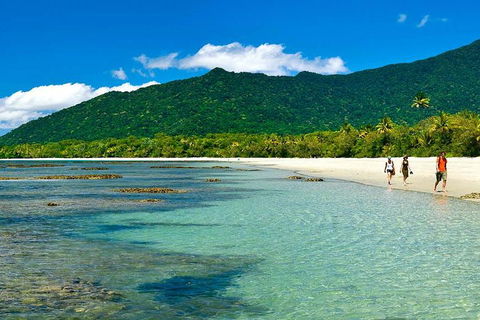 Private Daintree National Park Day Tour From Cairns Including Cape Tribulation And Mossman Gorge - Accommodation Directory 0
