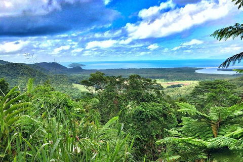 Private Daintree National Park Day Tour From Cairns Including Cape Tribulation And Mossman Gorge - Accommodation Directory 2