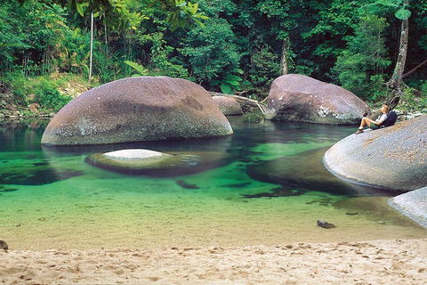 Private Daintree National Park Day Tour From Cairns Including Cape Tribulation And Mossman Gorge - Accommodation Directory 4
