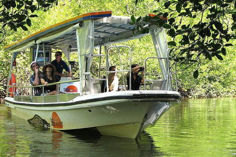 Private Daintree National Park Day Tour From Cairns Including Cape Tribulation And Mossman Gorge - Accommodation Directory 5