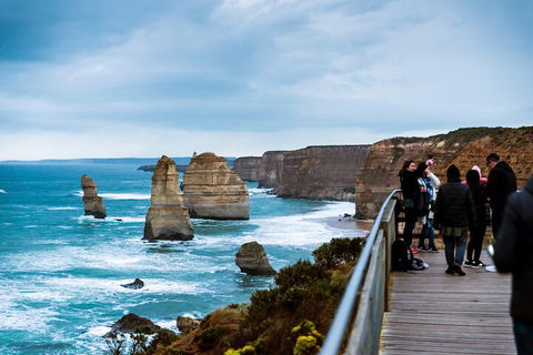 2 Day Exclusively Private Tour Of Phillip Island & The Great Ocean Road - Accommodation Directory 0