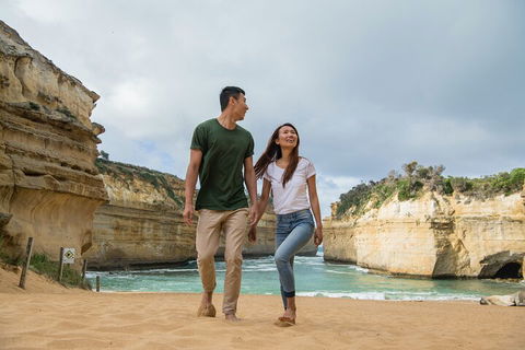 2 Day Exclusively Private Tour Of Phillip Island & The Great Ocean Road - Accommodation Directory 4