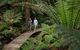 2 Day Exclusively Private Tour Of Phillip Island & The Great Ocean Road - thumb 5
