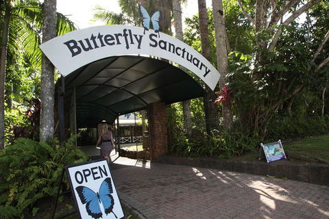 Kuranda Day Trip From Port Douglas Upgrade To Skyrail & Scenic Train Available - Accommodation Directory 0