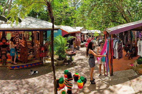 Kuranda Day Trip From Port Douglas Upgrade To Skyrail & Scenic Train Available - Accommodation Directory 2