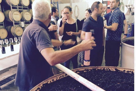 Luxury Private Mclaren Vale Wine Tour - Accommodation Directory 4