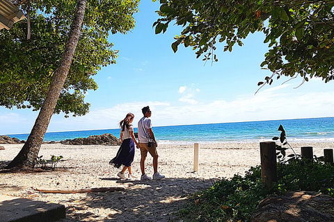 The Paronella Experience - Accommodation Directory 5