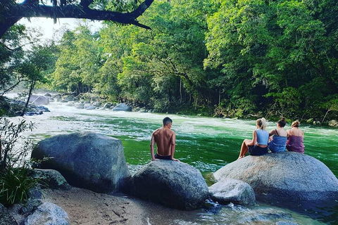 Afternoon Half-Day Daintree Rainforest And River Tour - Accommodation Directory 0