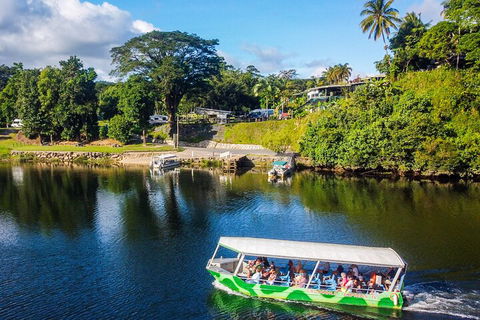 Afternoon Half-Day Daintree Rainforest And River Tour - Accommodation Directory 1