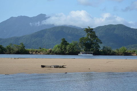 Afternoon Half-Day Daintree Rainforest And River Tour - Accommodation Directory 2