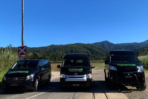 Afternoon Half-Day Daintree Rainforest And River Tour - Accommodation Directory 4