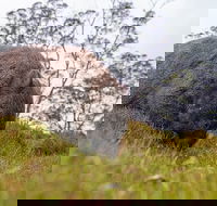 3-Day Cradle Mountain Photography Workshop - Accommodation Directory