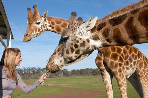 Melbourne City Card (2 Days): Visit Unlimited Attractions! - Accommodation Directory 1