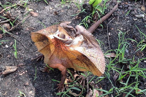 Litchfield National Park And Jumping Crocodile Cruise - Accommodation Directory 1