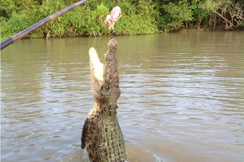 Litchfield National Park And Jumping Crocodile Cruise - Accommodation Directory 2