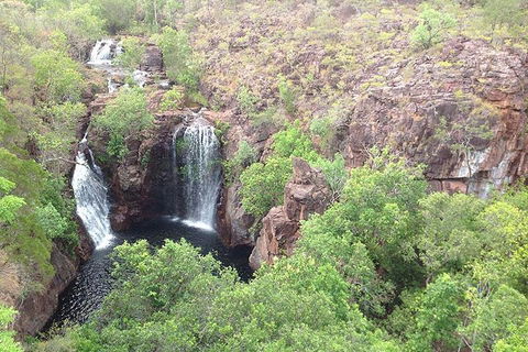 Litchfield National Park And Jumping Crocodile Cruise - Accommodation Directory 4