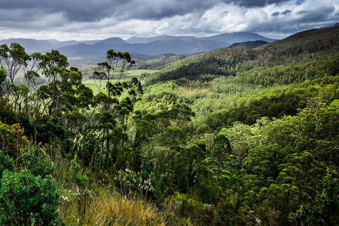3-Day Tour To The Falls, Mountains, Lake & More Of West Coast Tasmania - Accommodation Directory 0
