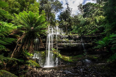 3-Day Tour To The Falls, Mountains, Lake & More Of West Coast Tasmania - Accommodation Directory 4