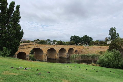Port Arthur, Richmond And Tasman Peninsula Day Trip From Hobart - Accommodation Directory 3