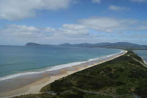 7-Day Best Of Tasmania Adventure Experience From Hobart (flexible Ticket) - Accommodation Directory 2
