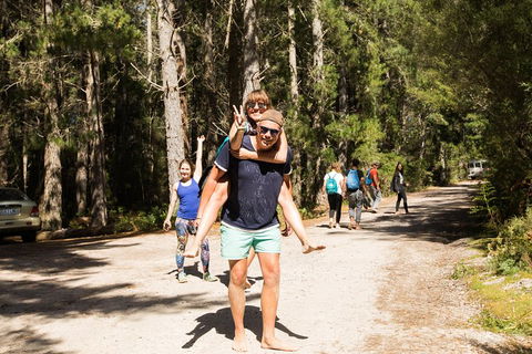 7-Day Best Of Tasmania Adventure Experience From Hobart (flexible Ticket) - Accommodation Directory 5