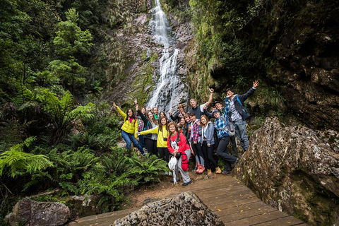 5-Day Lap Of Tasmania Tour From Hobart (flexible Ticket) - Accommodation Directory 0
