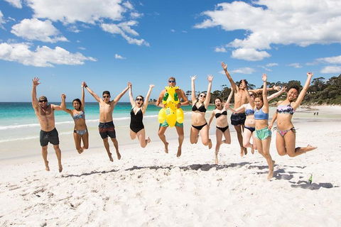 5-Day Lap Of Tasmania Tour From Hobart (flexible Ticket) - Accommodation Directory 4