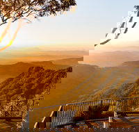 O'Reilly's  Lamington National Park incl. Alpaca Farm  Vineyard - Accommodation Directory