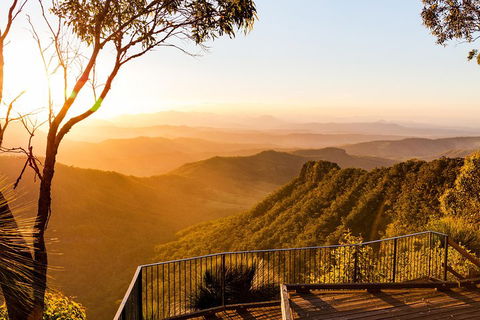 O'Reilly's & Lamington National Park Incl. Alpaca Farm + Vineyard - Accommodation Directory 0