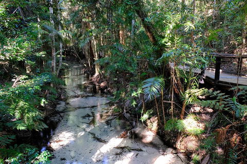Fraser Island 4WD Tour From Rainbow Beach - Accommodation Directory 0