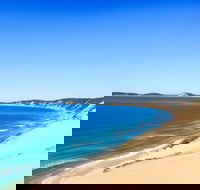 Kayak with Dolphins and 4WD Great Beach Drive Day Trip from Noosa - Accommodation Directory