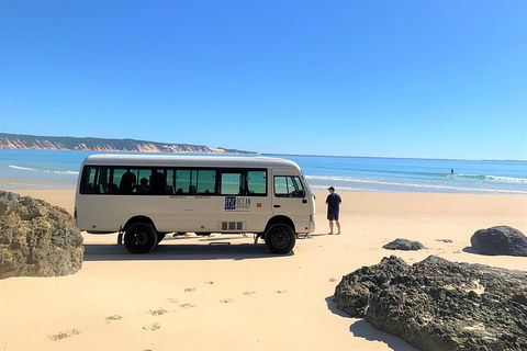 Kayak With Dolphins And 4WD Great Beach Drive Day Trip From Noosa - Accommodation Directory 4