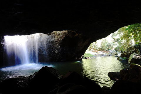 Rainforest & Waterfalls Extravaganza - Accommodation Directory 0