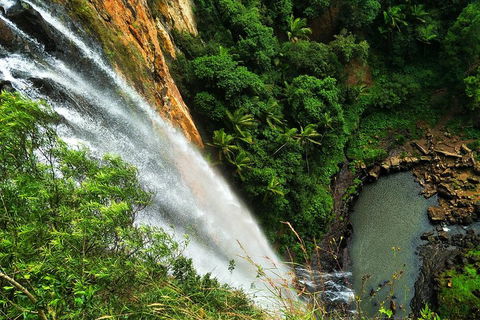 Rainforest & Waterfalls Extravaganza - Accommodation Directory 1