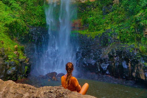 Rainforest & Waterfalls Extravaganza - Accommodation Directory 2