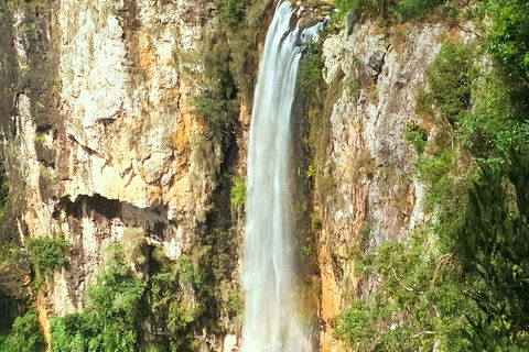 Private Tour - Rainforest & Waterfalls Extravaganza - Accommodation Directory 0