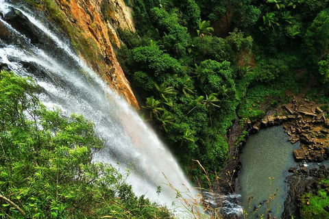 Private Tour - Rainforest & Waterfalls Extravaganza - Accommodation Directory 2