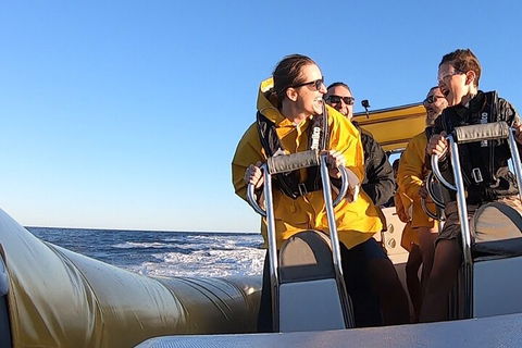 Noosa Oceanrider - Adventure Tour - Accommodation Directory 0