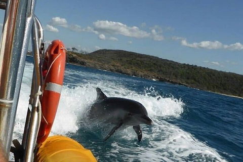 Noosa Oceanrider - Adventure Tour - Accommodation Directory 1
