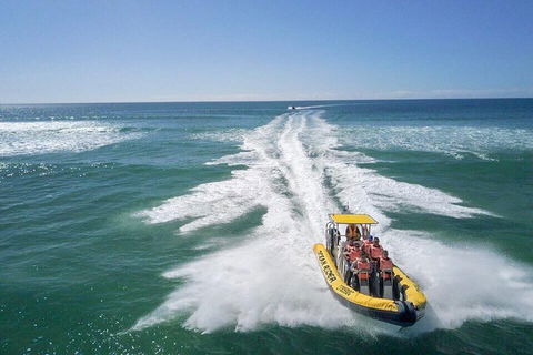 Noosa Oceanrider - Adventure Tour - Accommodation Directory 2